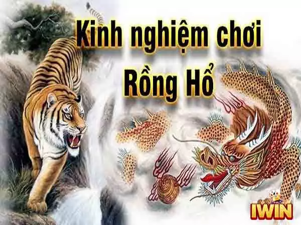 Kinh nghiệm chơi Rồng hổ iwin